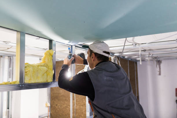 Best Types of Insulation in , DE